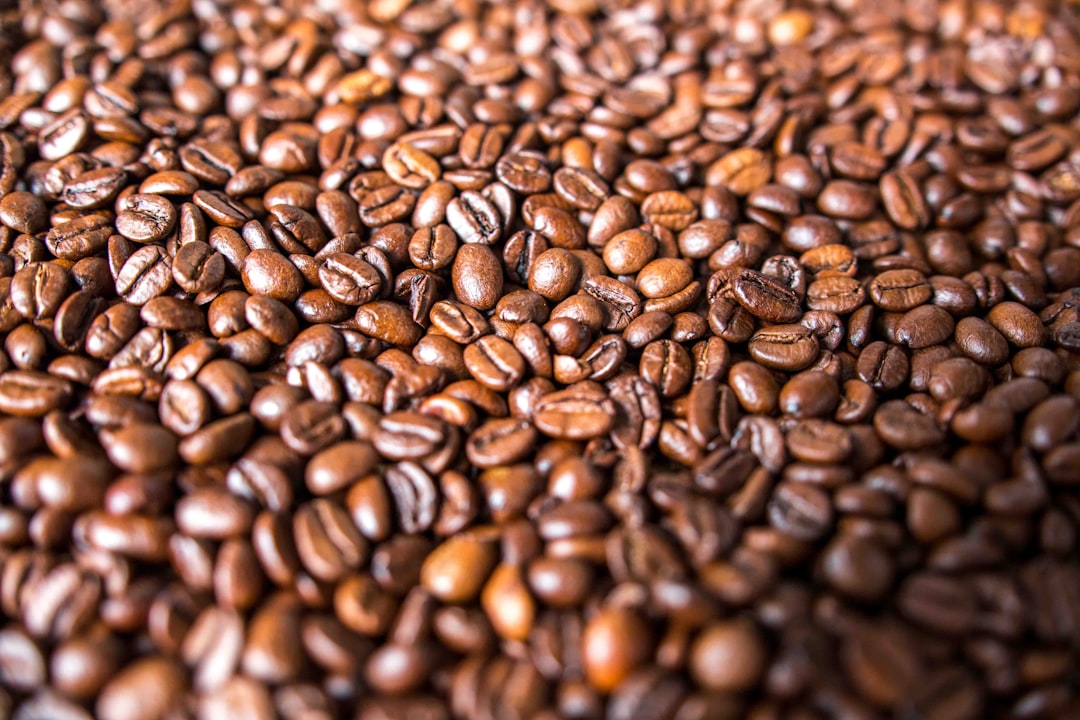 Discover the Best Coffee Beans for Your Perfect Brew Discover the Best Coffee Beans for Your Perfect Brew