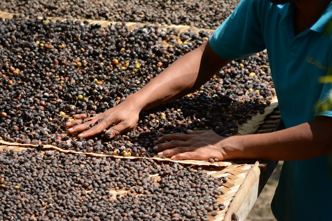 Sustainable Coffee Practices: Supporting Ethical Farming Methods Sustainable Coffee Practices: Supporting Ethical Farming Methods